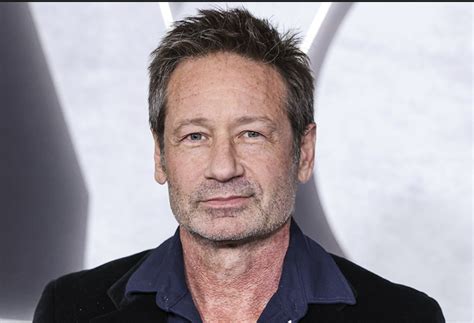 david duchovny net worth|david duchovny leaves x files.